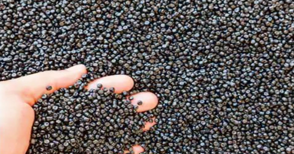 Thermoplastic pellets held in an open hand